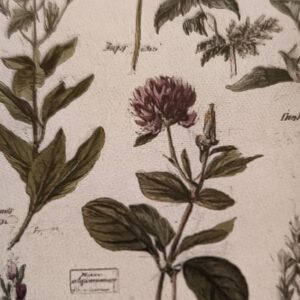 Meine Kräutertee-Mischung