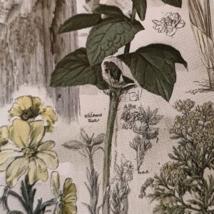 Kräuterteemischung gegen allgemeine Übelkeit